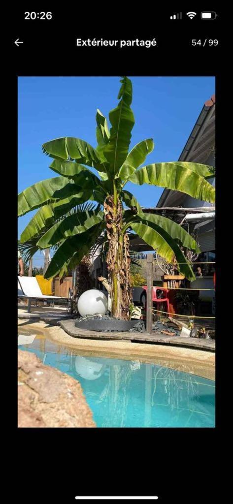 A La Marc'Quize Chambres D'Hotes, Petit Dejeuner Compris, Avec Piscine A Debordement En Exterieur, Bain Nordique A 38 Degres En Prestation Supplement Sur Reservation Horaire Anticipee 1 Place De Parking Gratuite Sur Place Mouxy Екстер'єр фото
